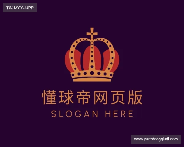 介绍懂球帝网页版